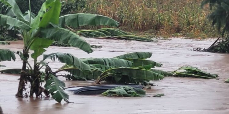 Tragedy as 4 Year Old Pupil Drowns in Mityana Flash Floods