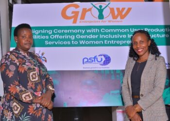 GROW Project: Gender Ministry Formalizes Infrastructure Grants for Women Entrepreneurs