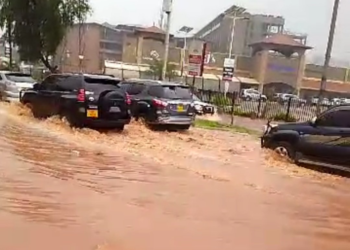 Tragedy in Mityana: 6-Year-Old Girl Drowns While Playing in Rainwater