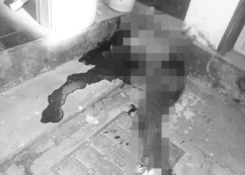 Police Foil Midnight Armed Robbery in Nakawa, Shoot One Suspect Dead