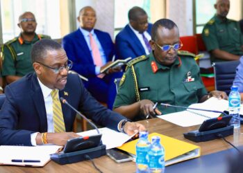 Zero Role: Defence Minister Denies NEC Involvement in Digital Number Plates Deal